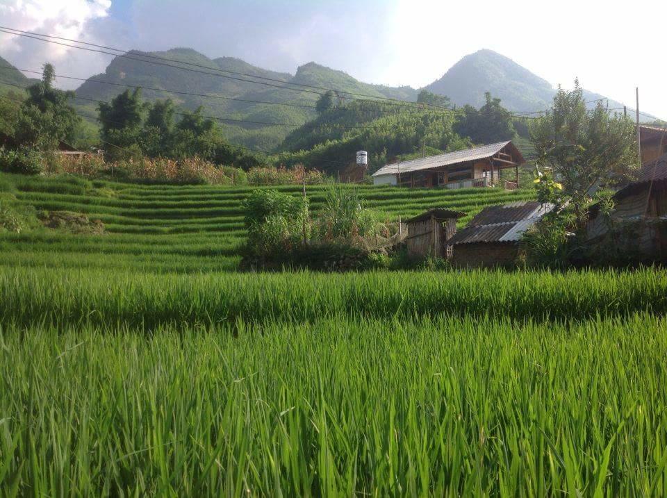 Luckydaisy Buffalo House Sapa Exterior photo