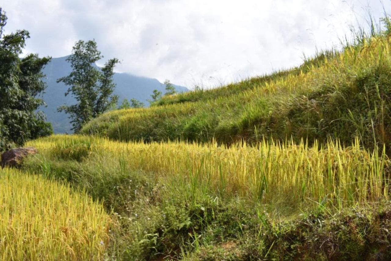 Luckydaisy Buffalo House Sapa Exterior photo